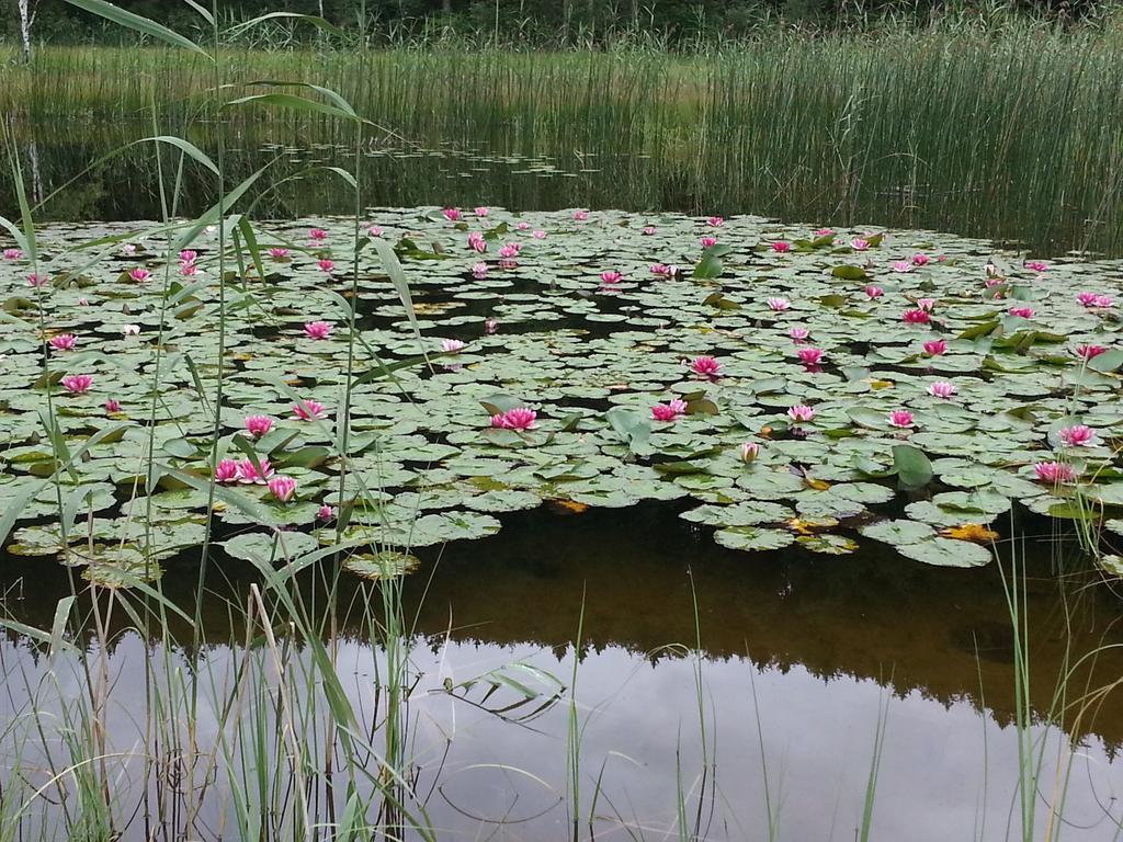 Affittacamere Seehof