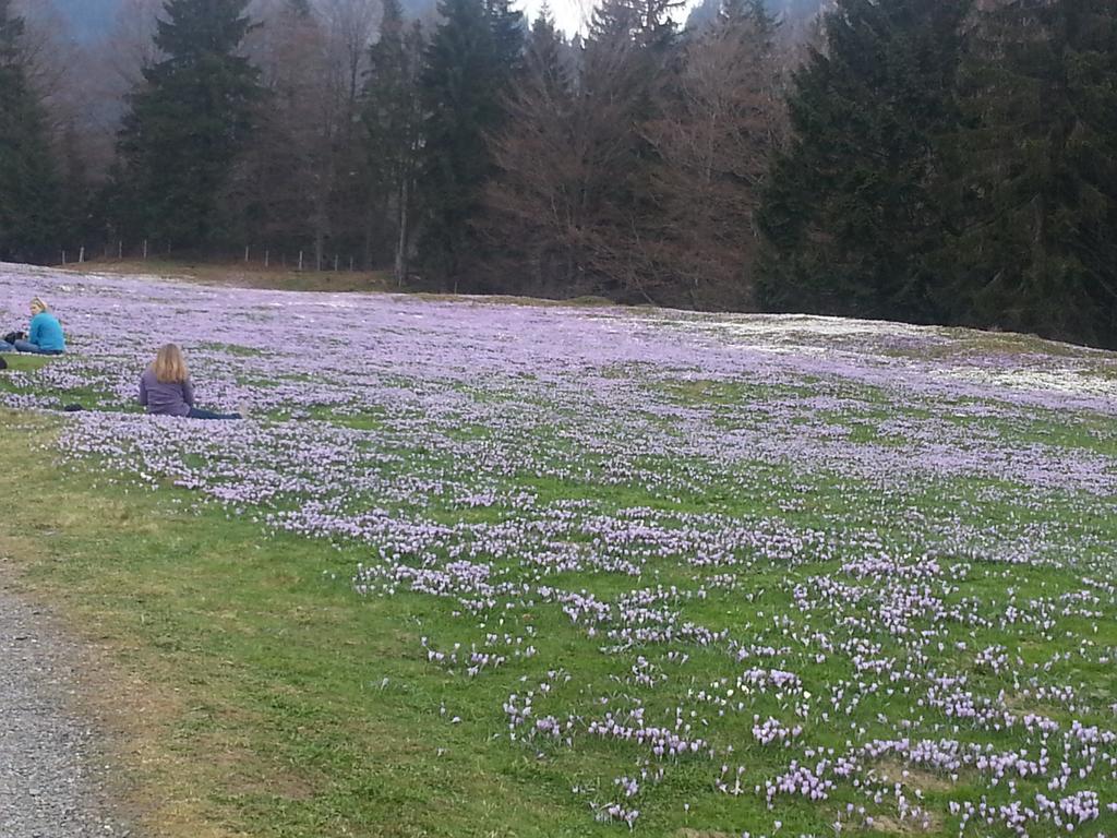Seehof Affittacamere Füssen
