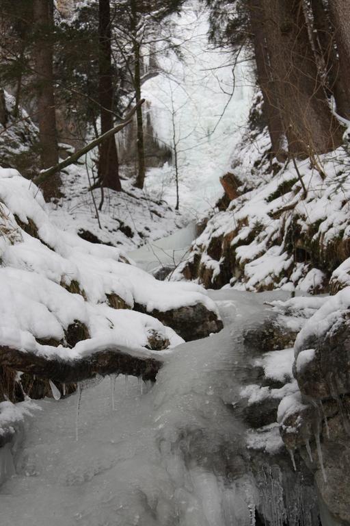 Seehof Affittacamere